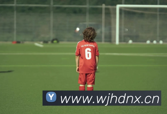 星空app官网发展历程